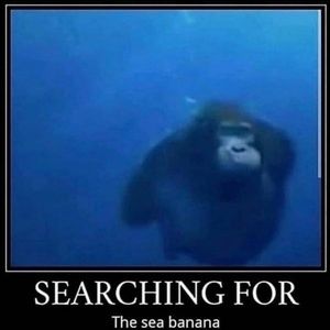 Meet your Posher, Logan